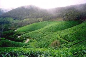 Best of Kerala Package 4 Days/ 3 Nights at Rs. 8960 from Iris Holidays