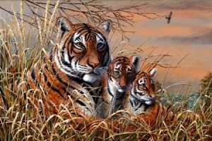 5 Days Wildlife & Tiger Jungle Safari Tour Package