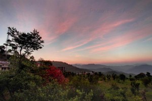 STAY AMONG THE CLOUDS AT KASAULI RESORT