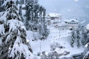 Best of Shimla Manali Tour Package From Travel Duniyaa