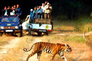Best of Uttarakhand Tour Package By Skylark Adventure Tours