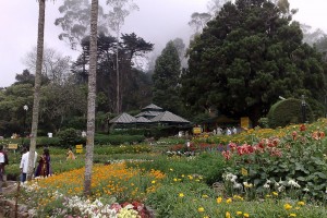 Explore Kodaikanal with Ooty Tour Package