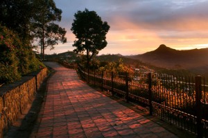 Picturesque Ooty & Kodaikanal Tour Package By Yatra