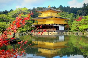Japan Cherry Blossom Group Tour Package
