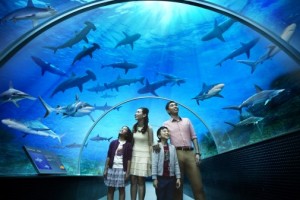 Best of Singapore Tour Package