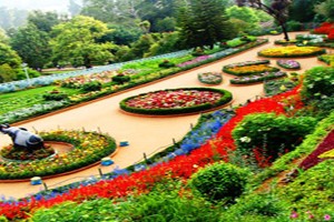 Ooty & Mysore Package By Make My Trip