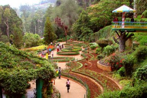 Ooty, Kodaikanal & Munnar Tour Package By Make My Trip