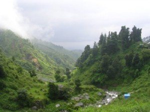 Landscape of Dharmshala