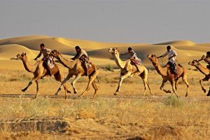 Jaisalmer Desert Festival Camel Race