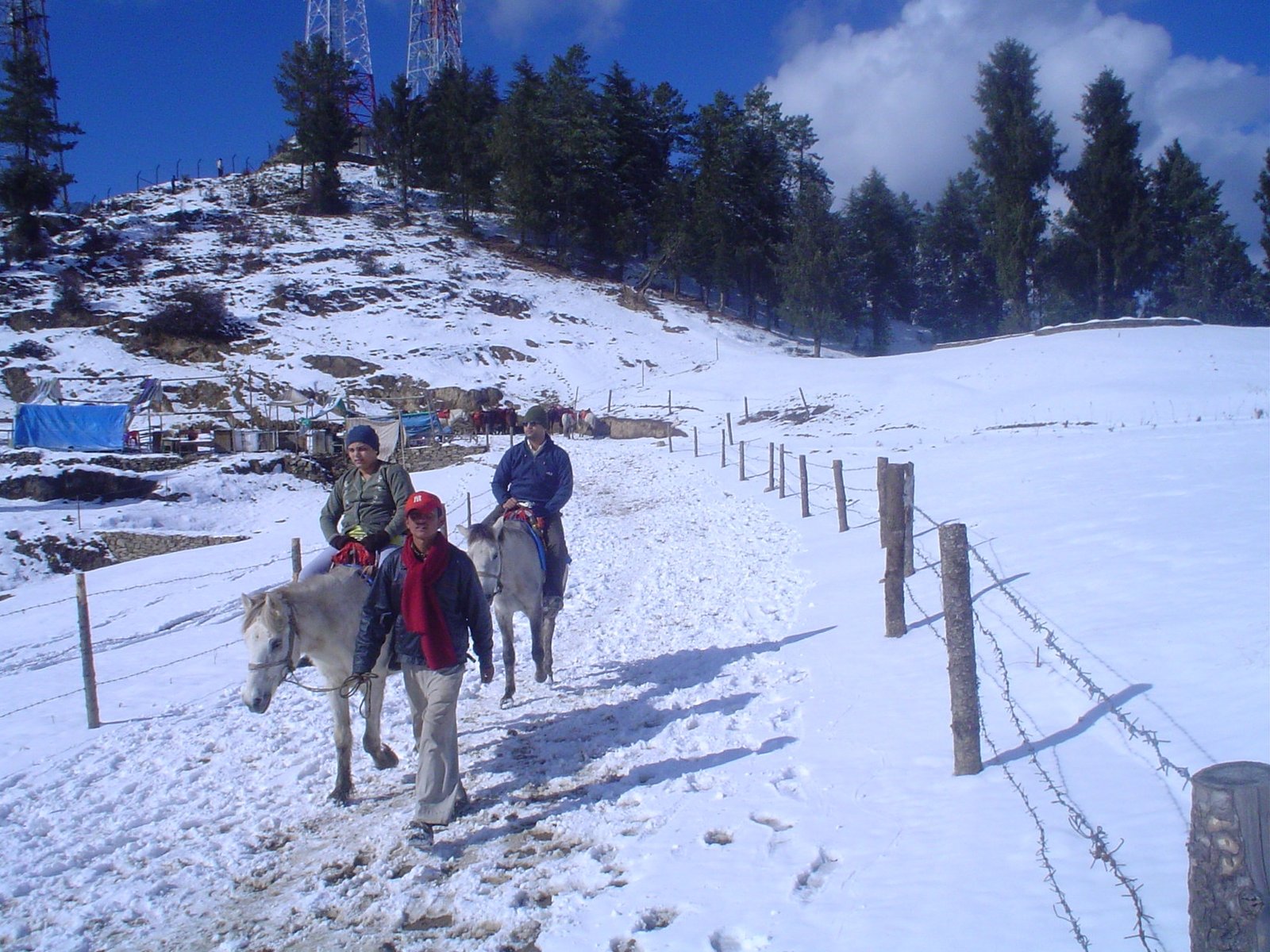 Snow - Kufri Himachal