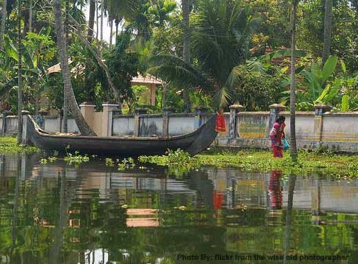 Kerala-backwater