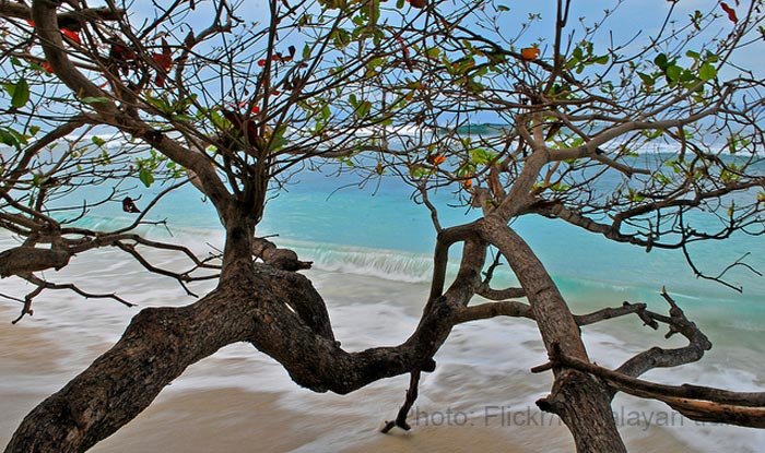 Radhanagar-beach,-Havelock-island