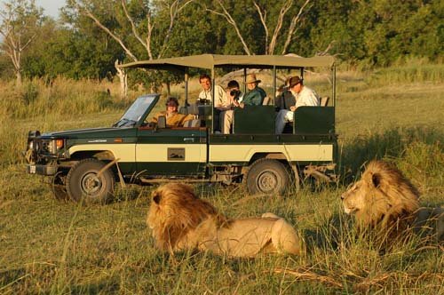 Wildlife Safari Kenya
