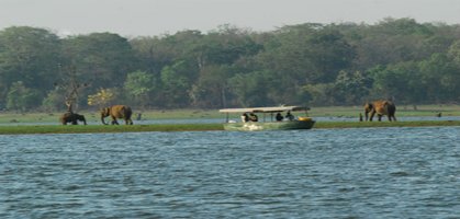 Kabini Boat Safari
