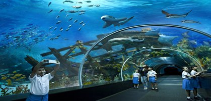 Marine Life Park Aquarium