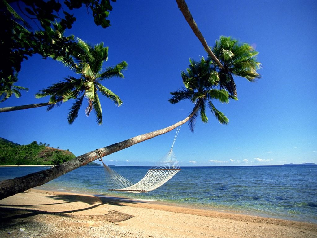 beach-bamboo-coconut-trees