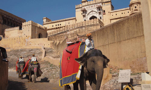 Elephant Ride At Amber Fort