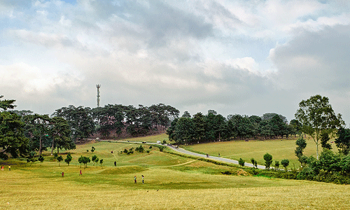 Shillong Golf Course