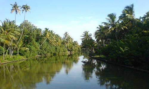 Beauty of Ashtamudi Lake