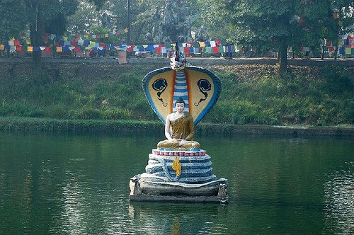 Buddha Statue Cobra