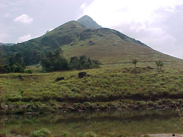 Chembra Hills Station