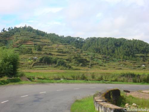 Jhum cultivation over the hills