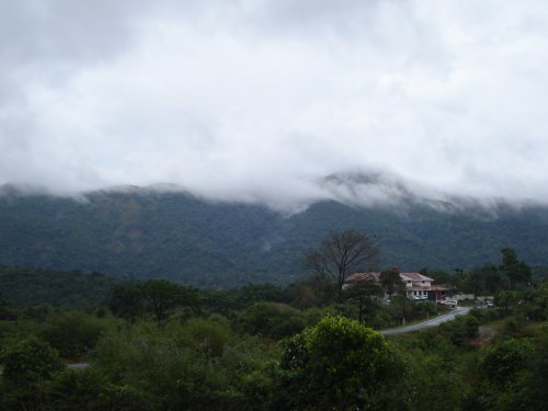 Nature at Coorg