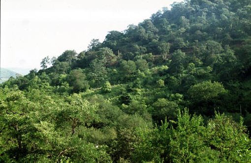 Sandur hills
