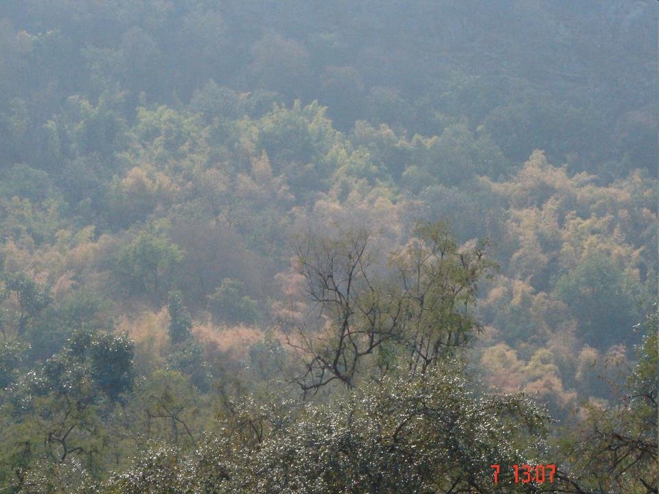 Sariska National Park