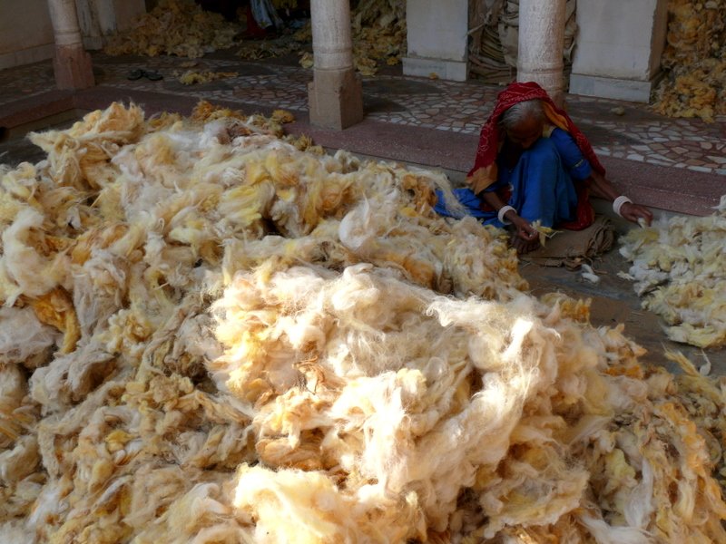 Shekhawati Sorting Wool a Woman