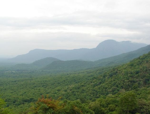 Yercaud View