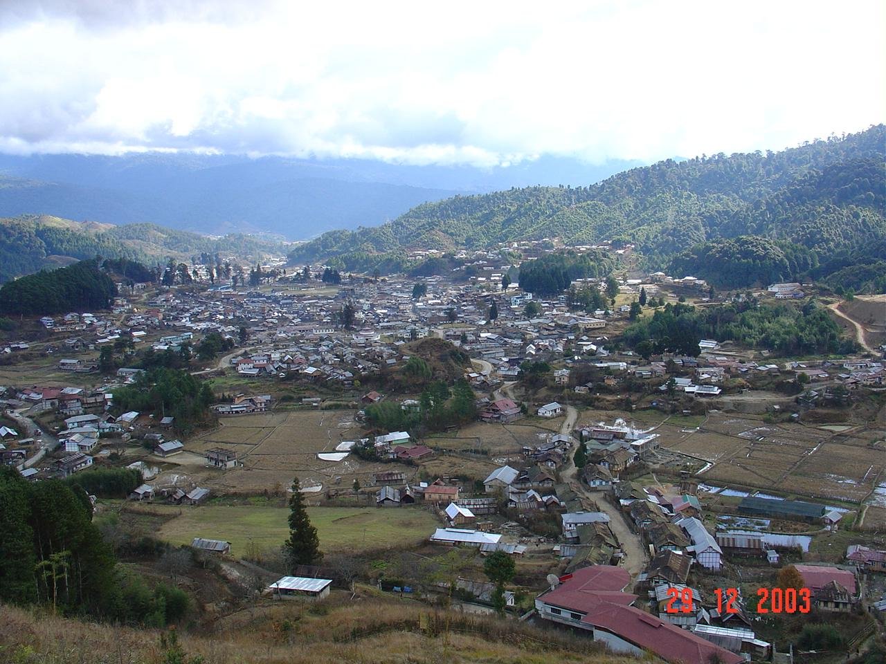 Ziro Town View