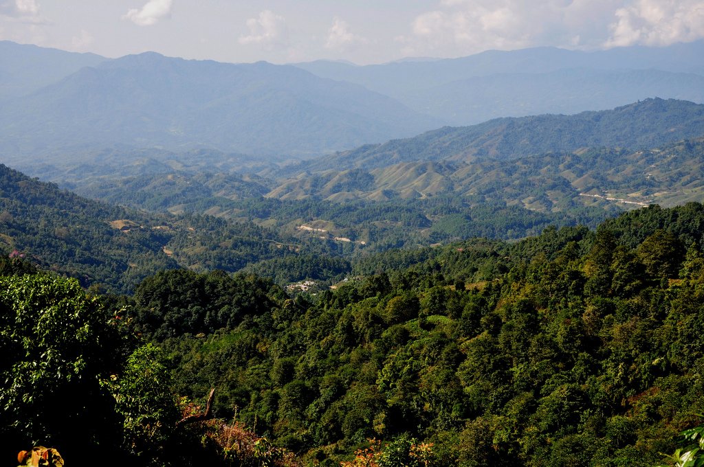 Ziro Valley